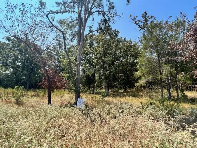 Fm 489 E Fairfield, TX 75840