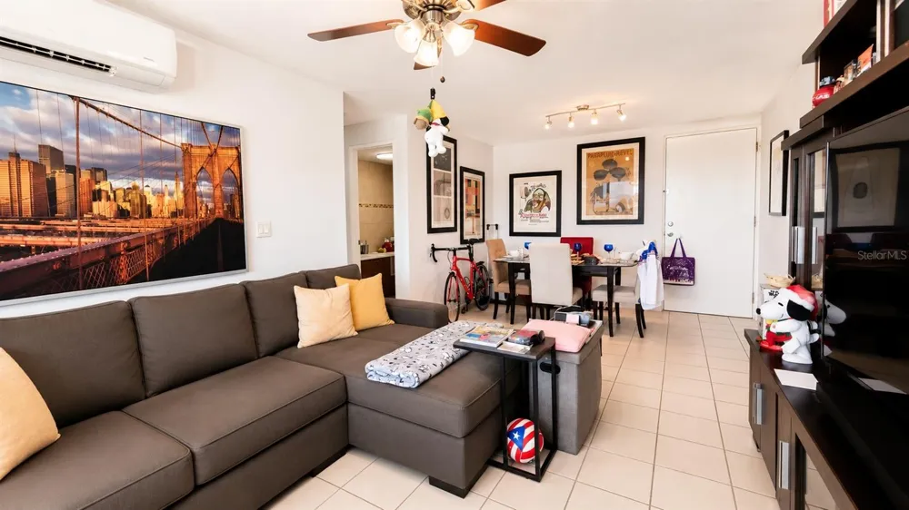 17 REGINA MEDINA #A-705 Guaynabo, PR 00969
