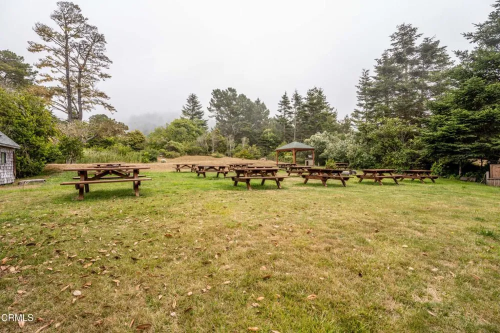 15741 Forest View Road Manchester, CA 95459
