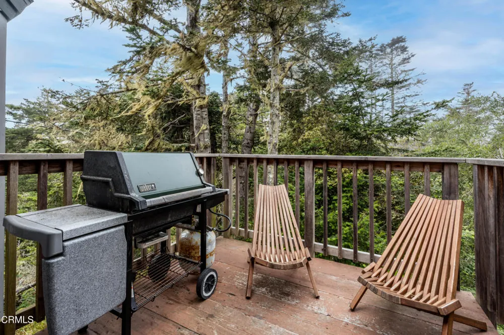 15741 Forest View Road Manchester, CA 95459