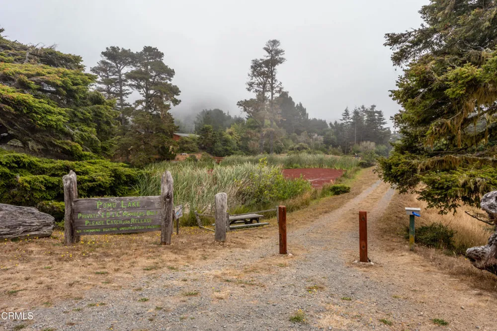 15741 Forest View Road Manchester, CA 95459