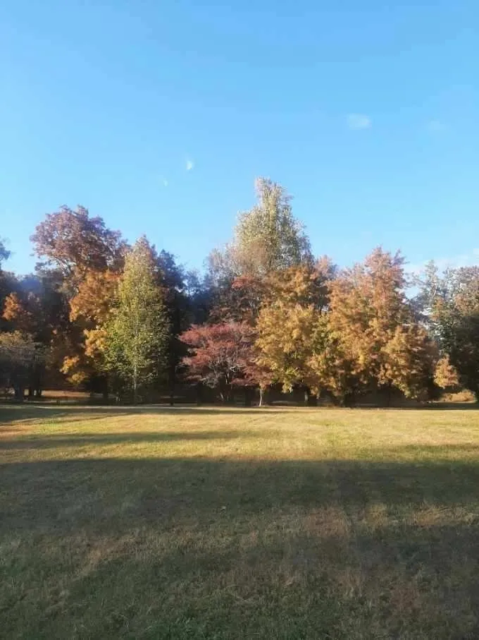 420 Shangri La Woodbury, TN 37190