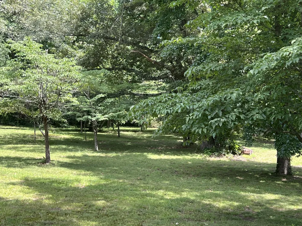 420 Shangri La Woodbury, TN 37190