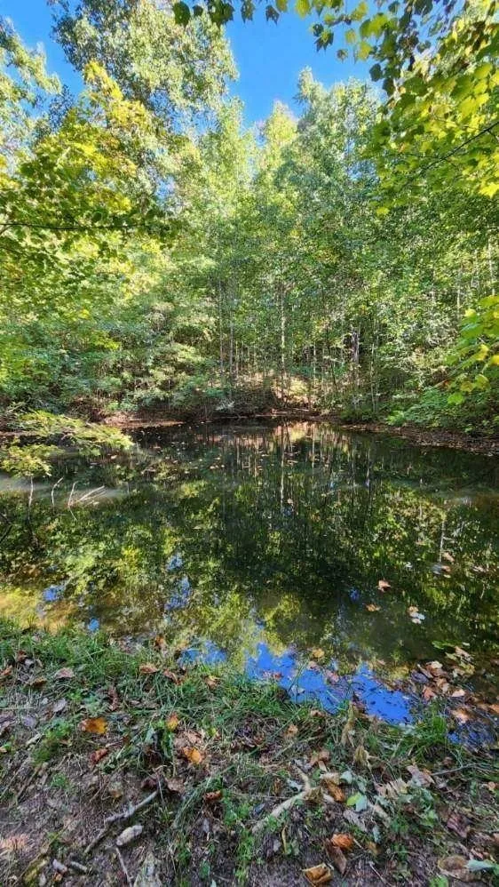 420 Shangri La Woodbury, TN 37190