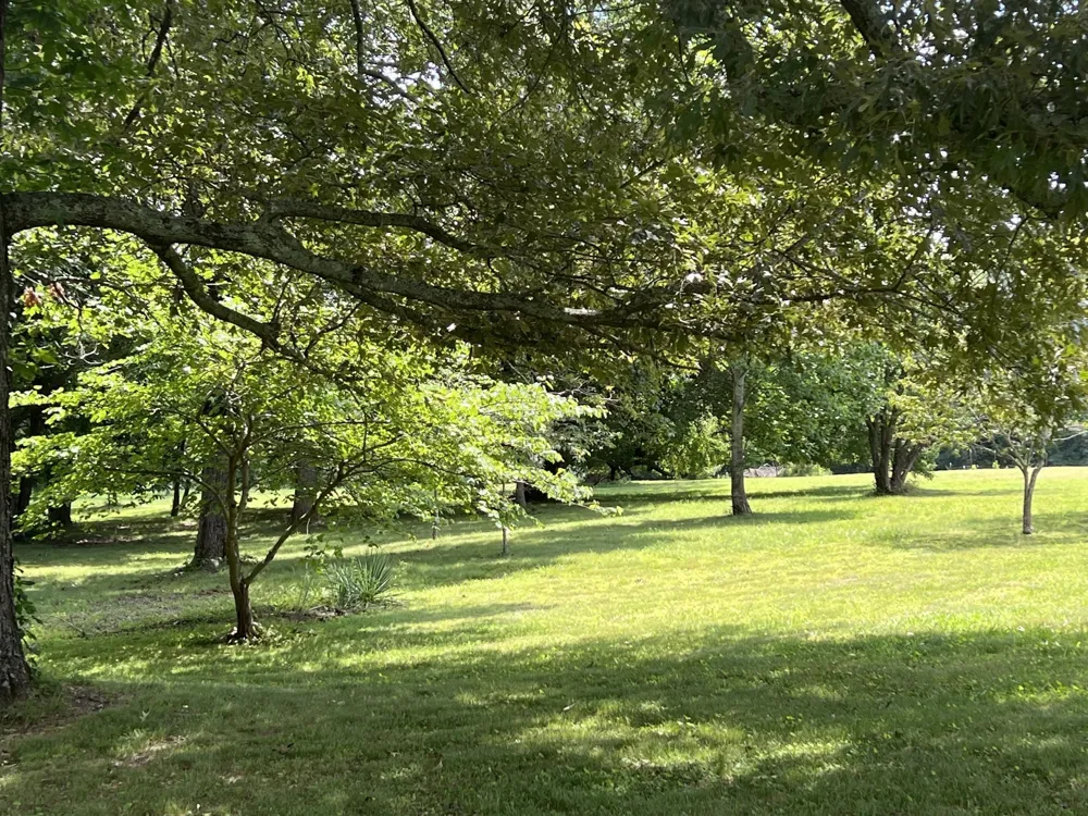 420 Shangri La Woodbury, TN 37190