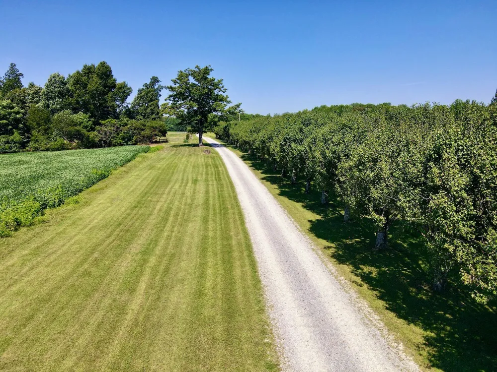420 Shangri La Woodbury, TN 37190