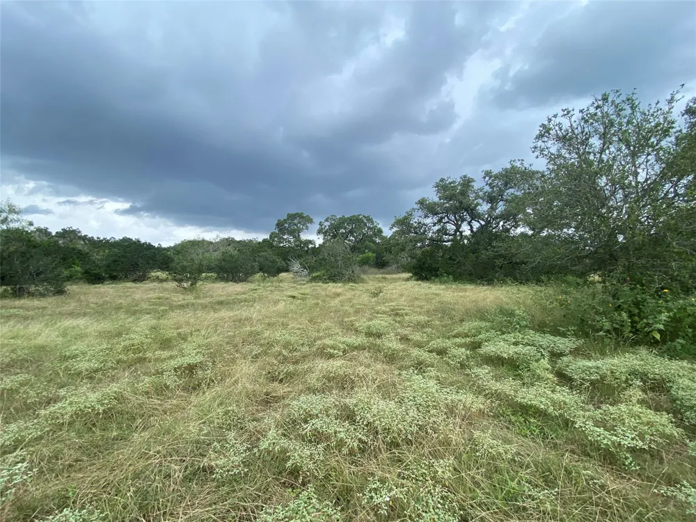 3275 Hilliard Road #D San Marcos, TX 78666
