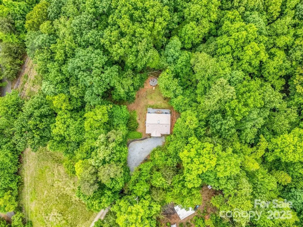 119 Celestial Way Mill Spring, NC 28756