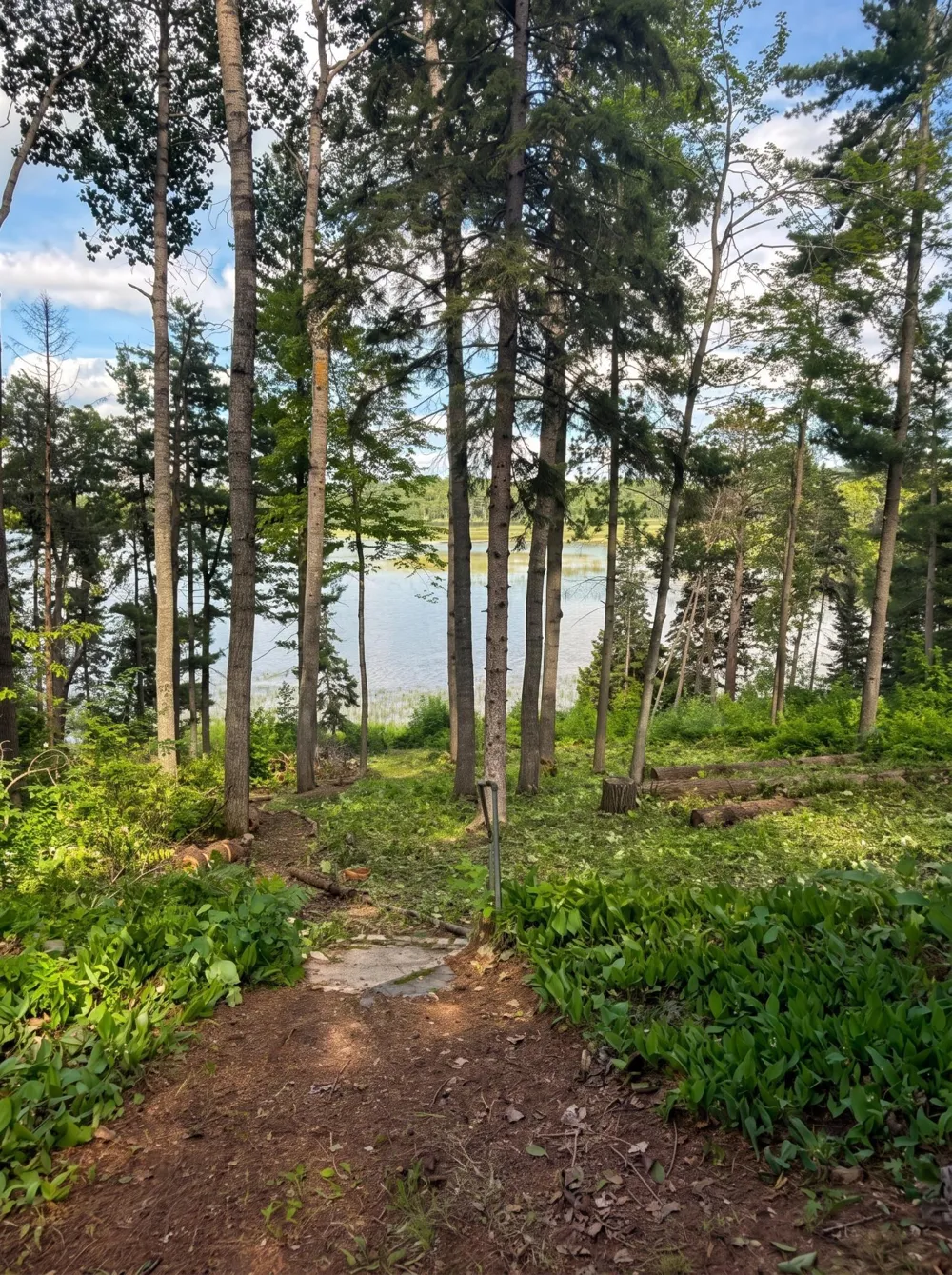 18585 Natures Edge Drive Lake George, MN 56458