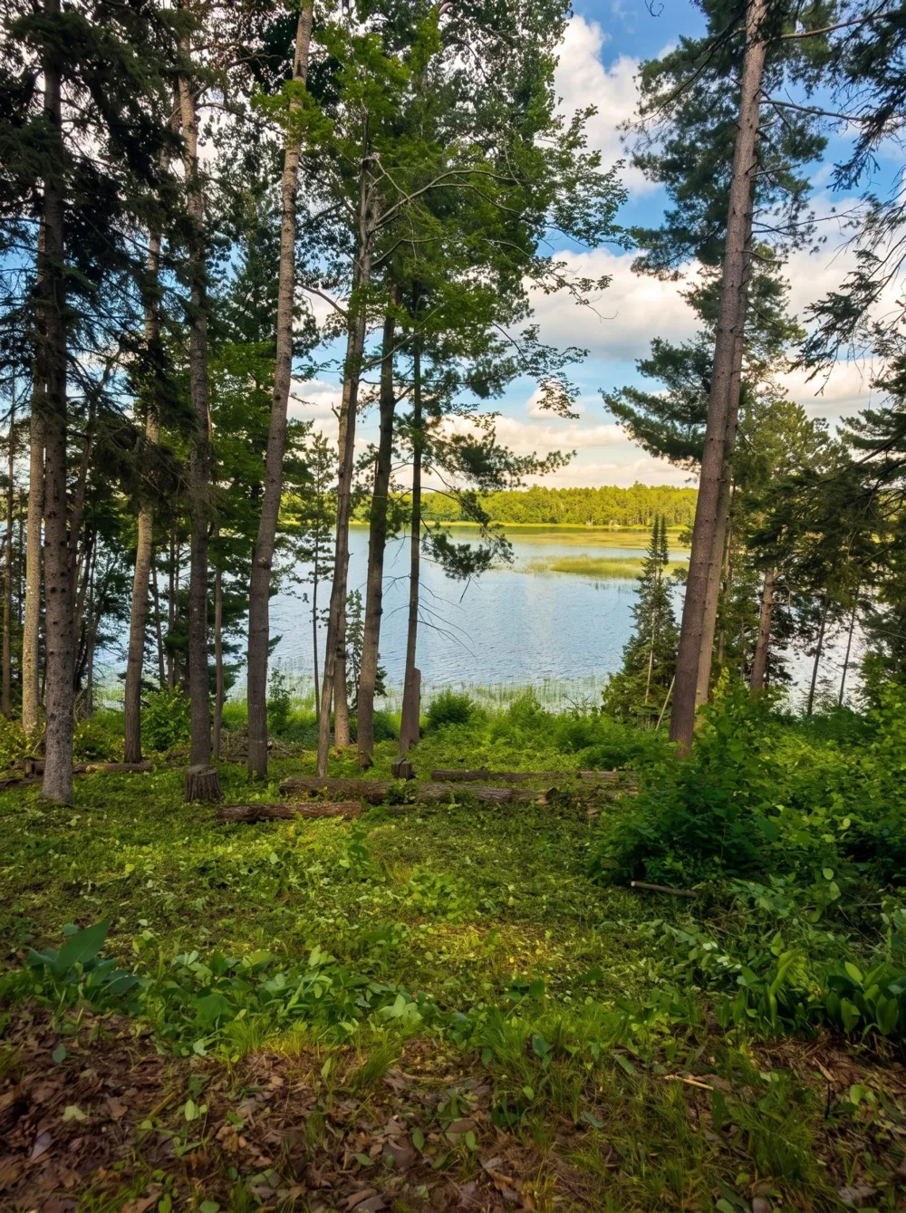 18585 Natures Edge Drive Lake George, MN 56458