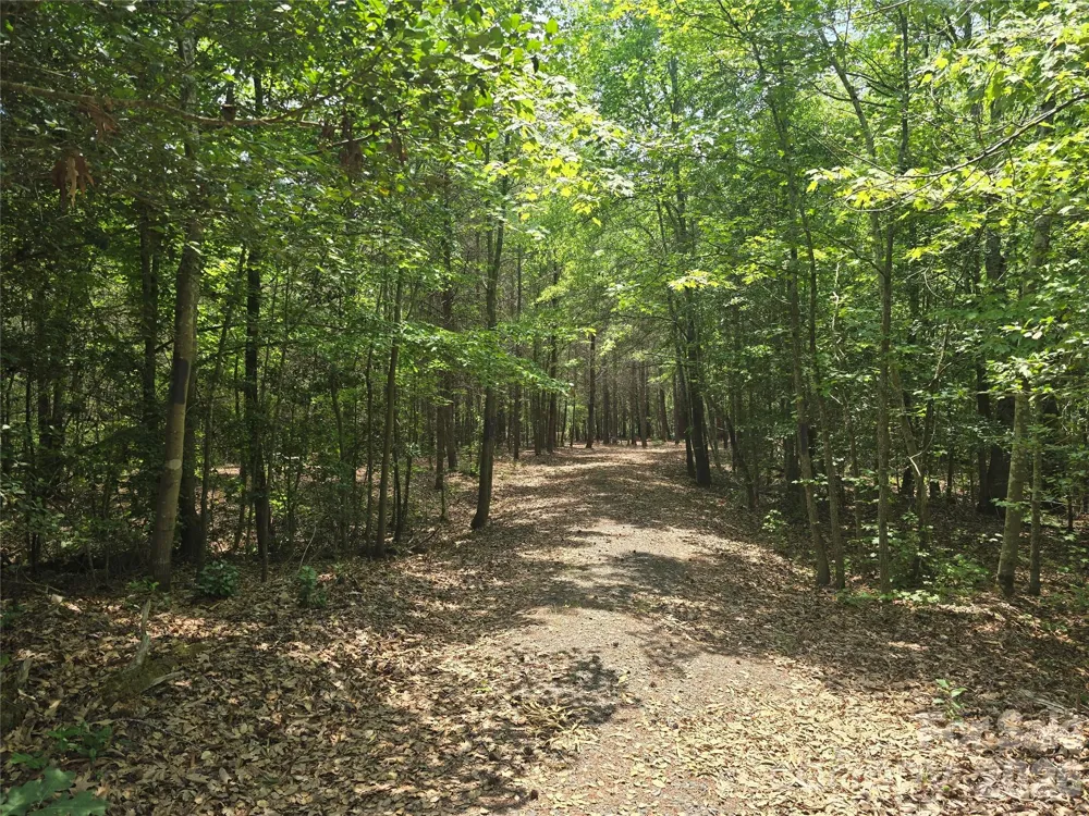 385 Dennis Road Troy, NC 27371