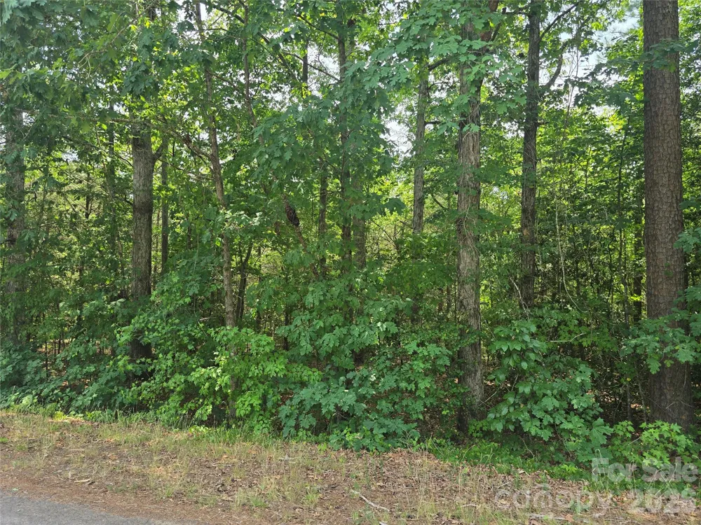 385 Dennis Road Troy, NC 27371
