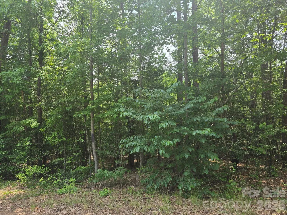 385 Dennis Road Troy, NC 27371