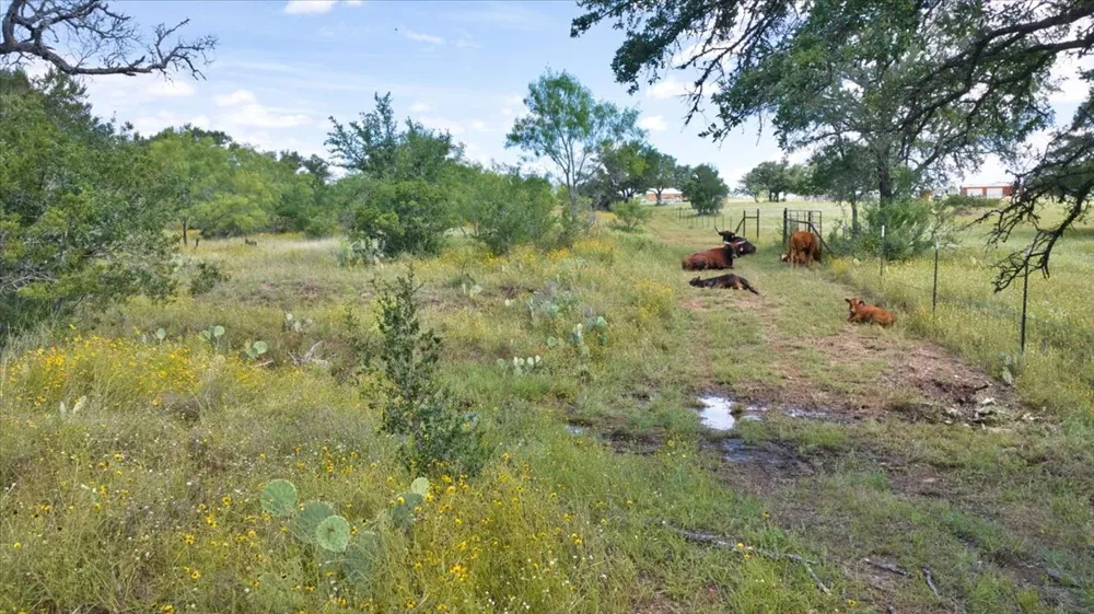 2144 CR 307 Kingsland, TX 78639