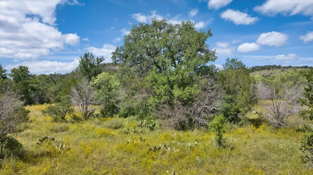 2144 CR 307 Kingsland, TX 78639