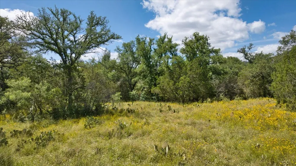 2144 CR 307 Kingsland, TX 78639