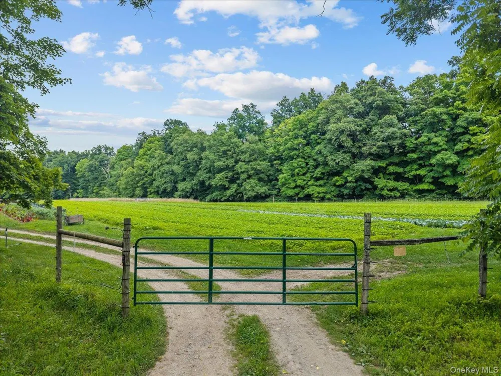 123-179 Sisters Hill Road Stanfordville, NY 12581