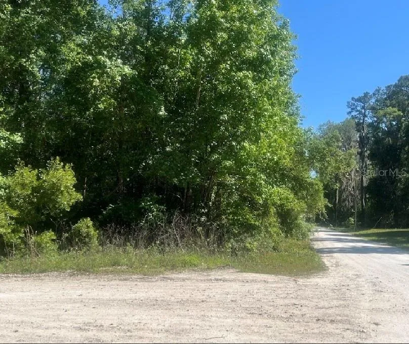 14220 NW 182ND LANE Williston, FL 32696