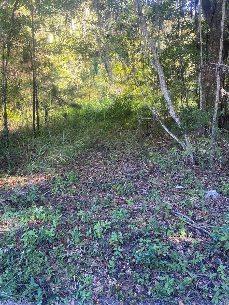 14220 NW 182ND LANE Williston, FL 32696