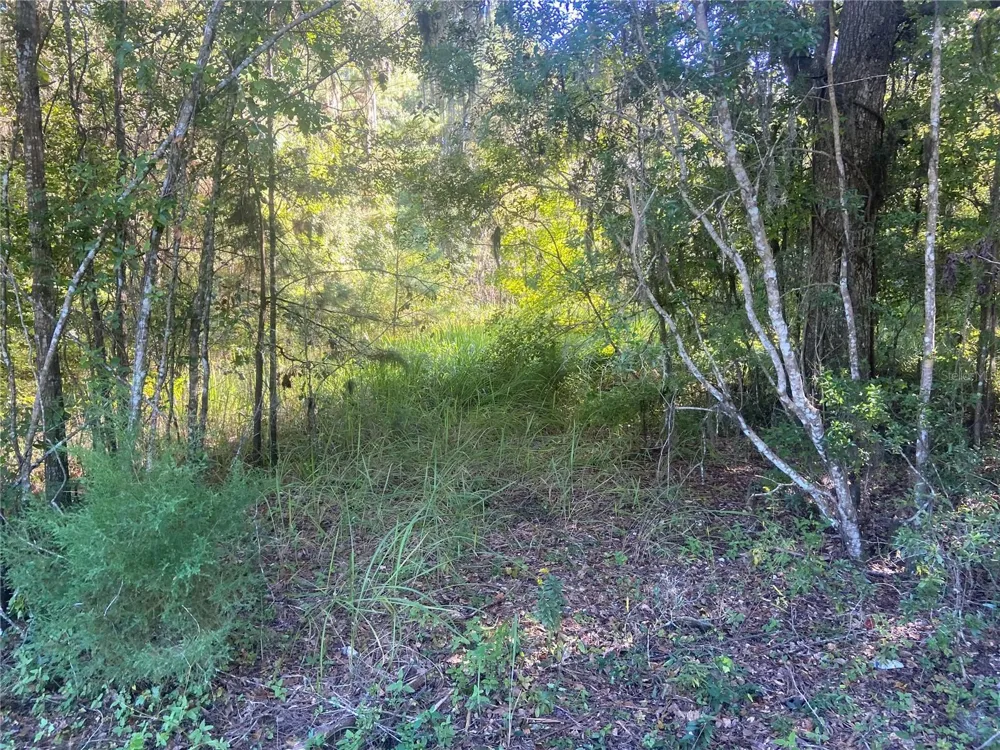 14220 NW 182ND LANE Williston, FL 32696