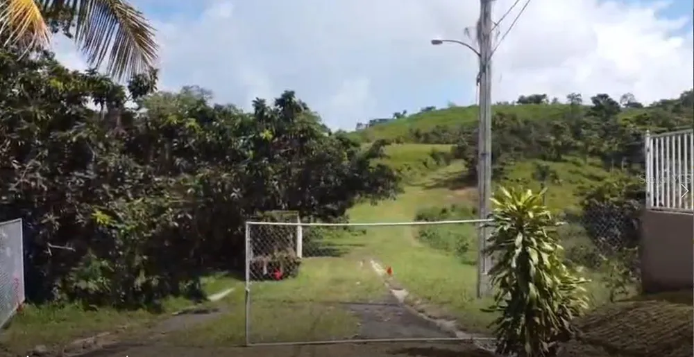 962 LUKELUZ Canovanas, PR 00729