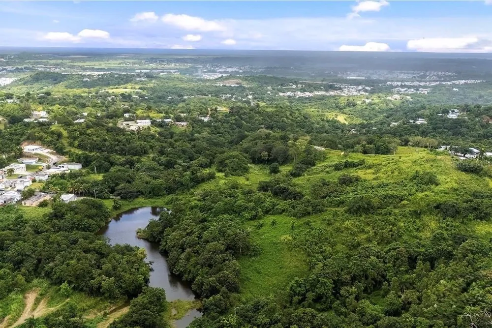962 LUKELUZ Canovanas, PR 00729