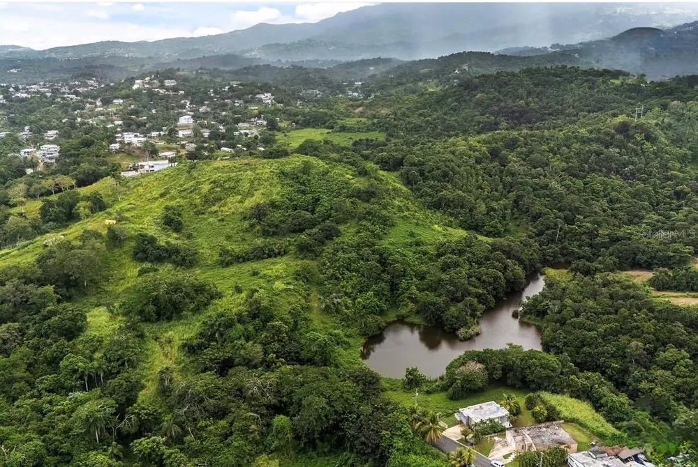 962 LUKELUZ Canovanas, PR 00729