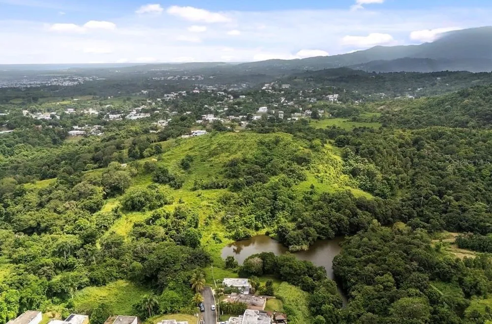962 LUKELUZ Canovanas, PR 00729