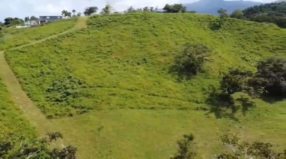 962 LUKELUZ Canovanas, PR 00729
