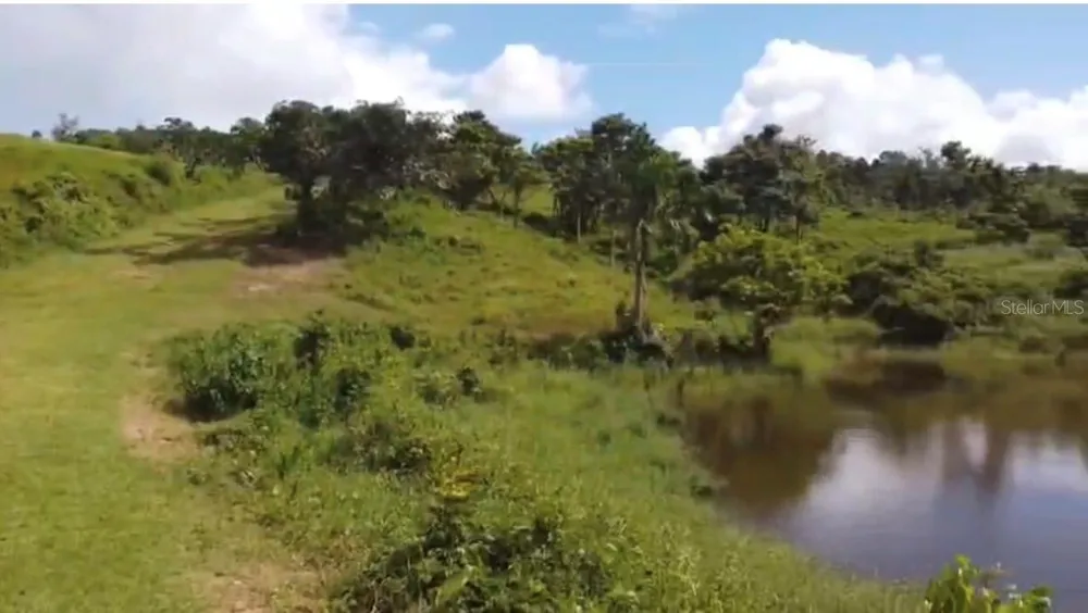 962 LUKELUZ Canovanas, PR 00729