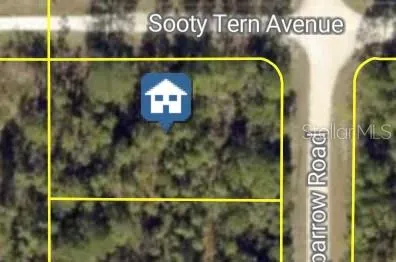 SOOTY TERN AVENUE