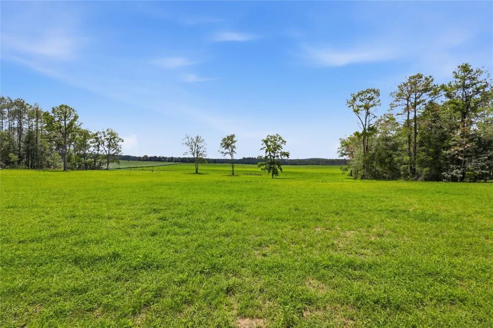 Lot 19 254TH LANE Alachua, FL 32615