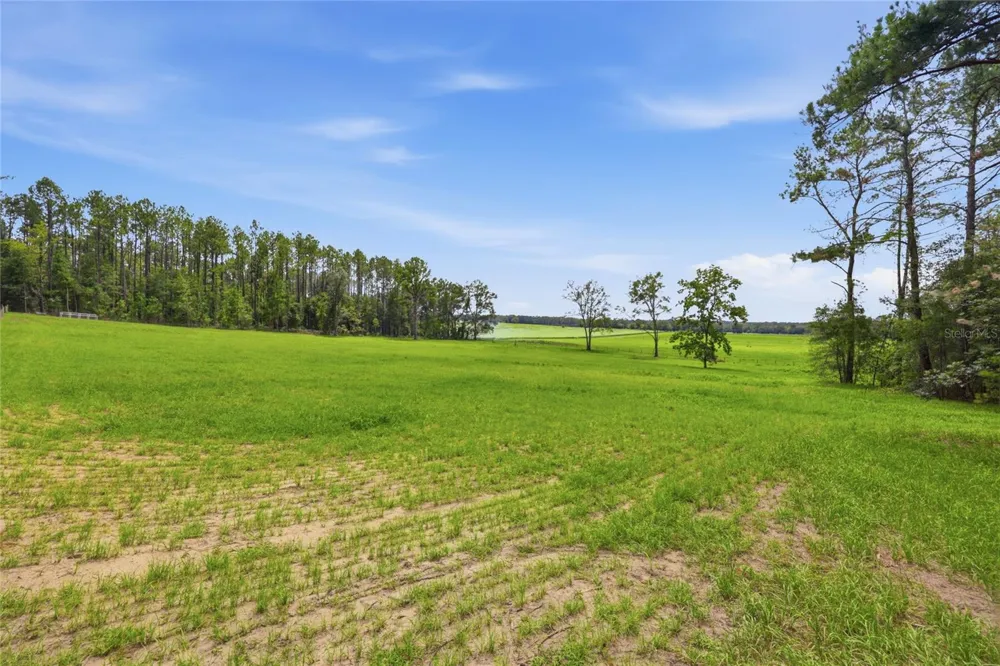 Lot 19 254TH LANE Alachua, FL 32615