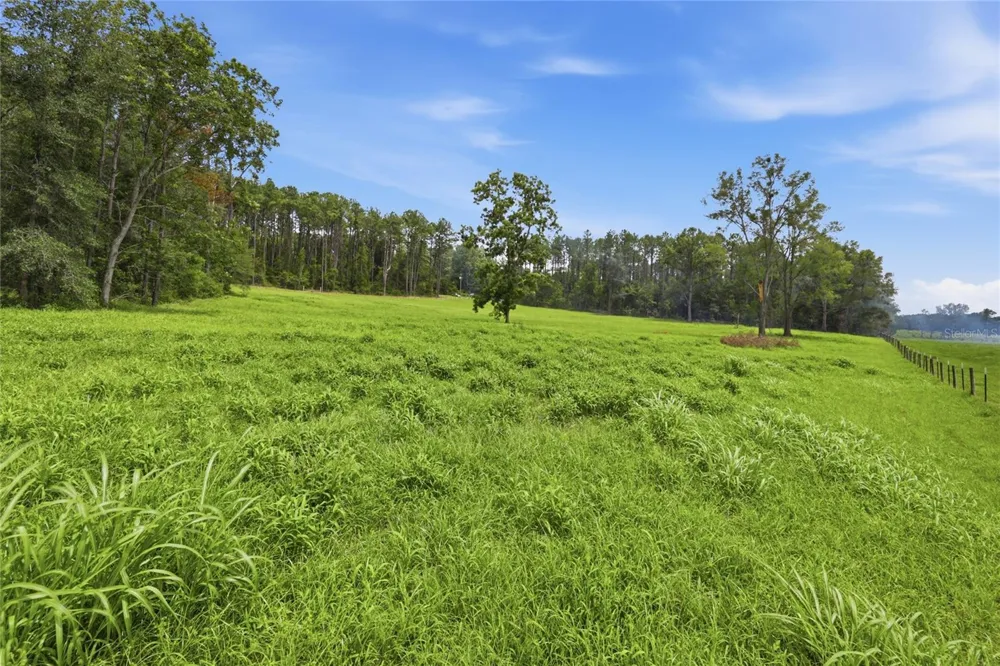 Lot 19 254TH LANE Alachua, FL 32615