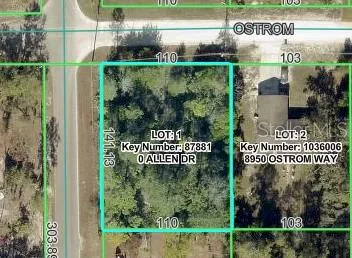 8092 ALLEN DRIVE Weeki Wachee, FL 34613