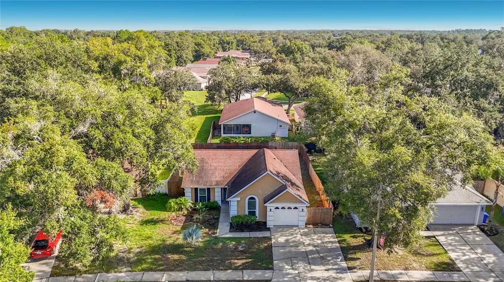 1032 HARDWOOD DRIVE Valrico, FL 33596