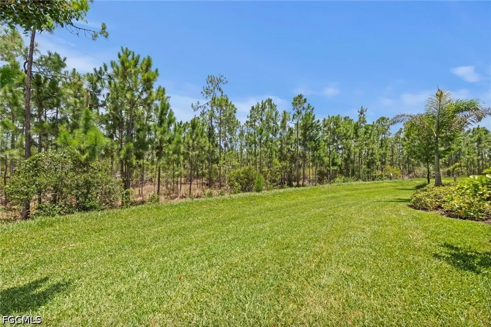Plumwood Loop North Fort Myers, FL 33917