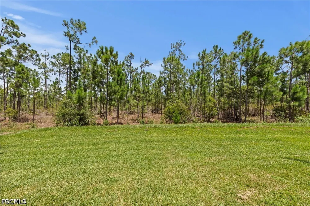 Plumwood Loop North Fort Myers, FL 33917