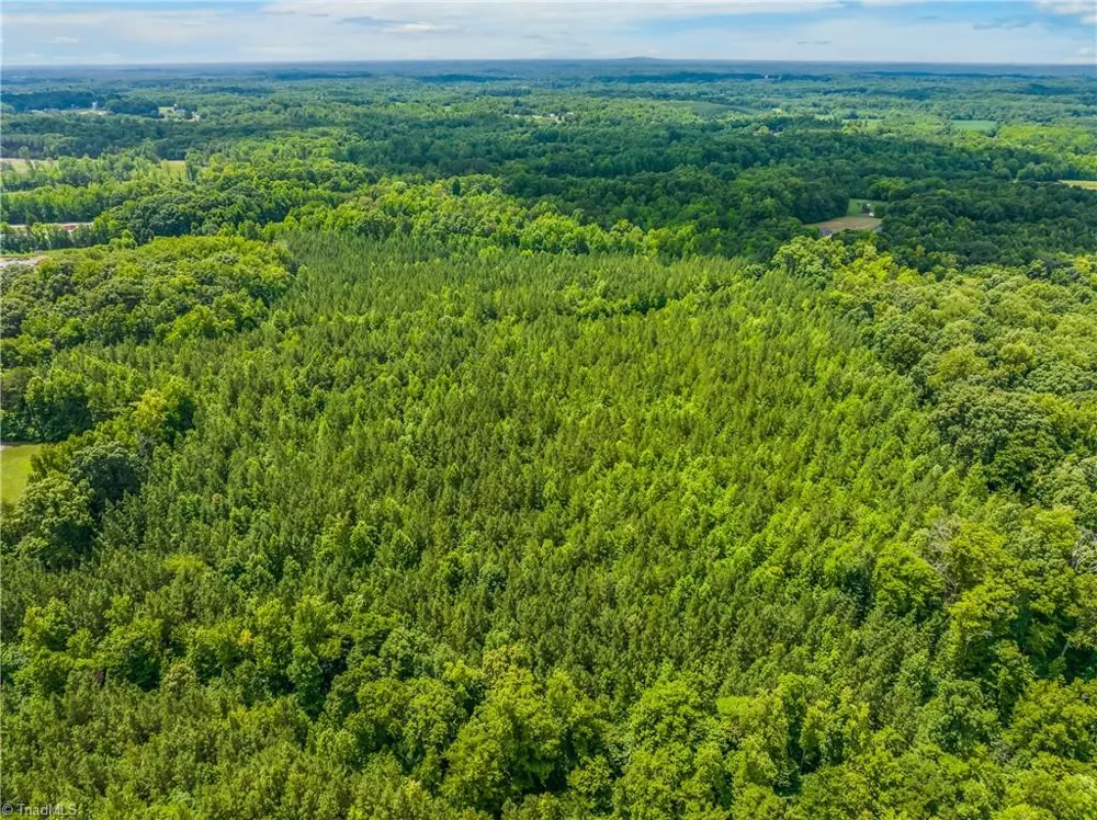 13.3 +/- Ac Godbey Road Mocksville, NC 27028