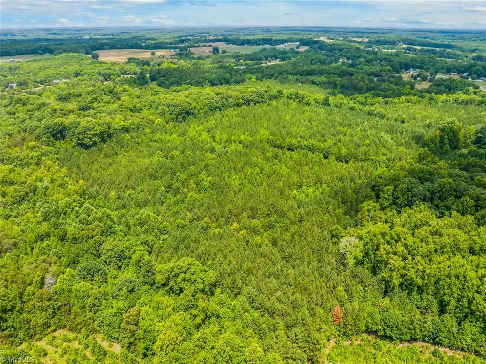 13.3 +/- Ac Godbey Road Mocksville, NC 27028