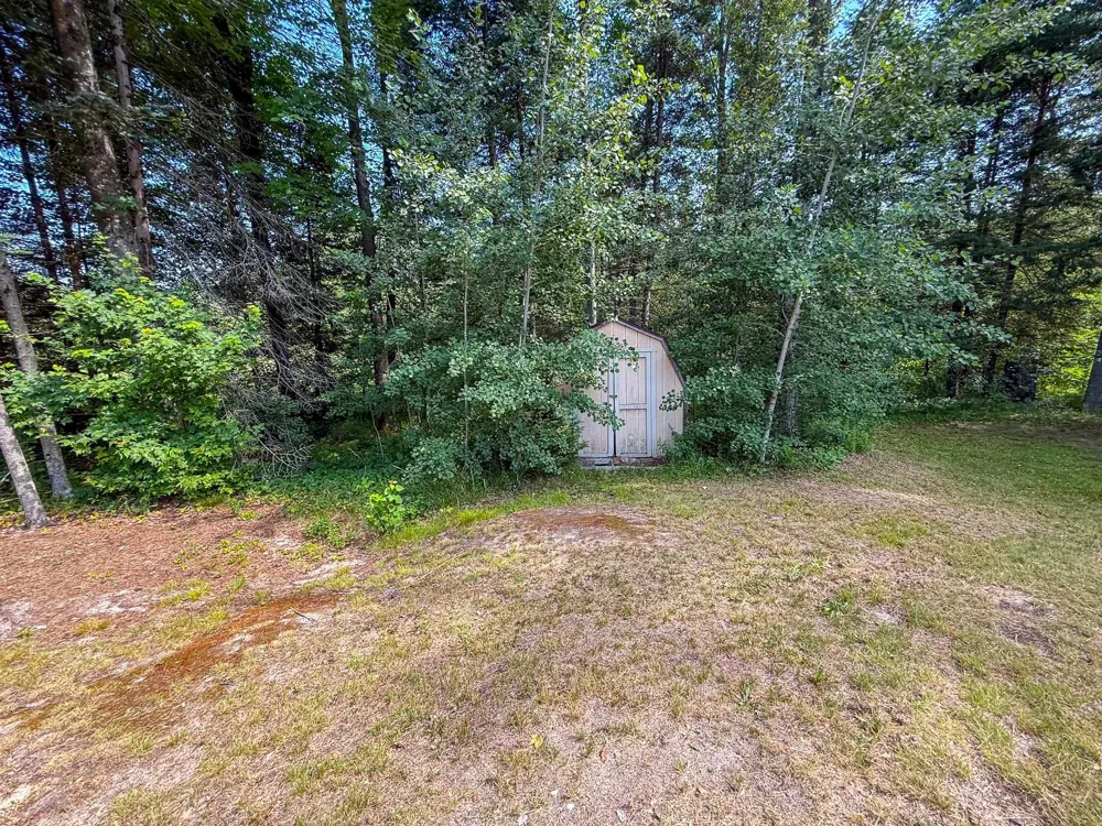 9230 Monroe Road Freeman Township, MI 48632