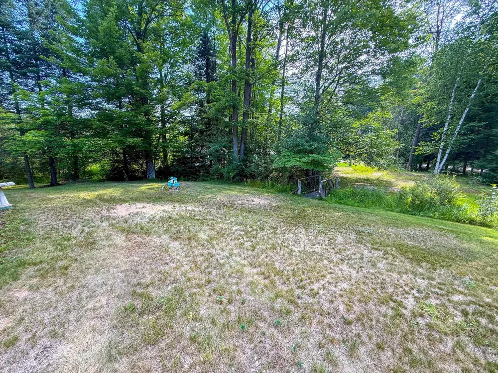 9230 Monroe Road Freeman Township, MI 48632
