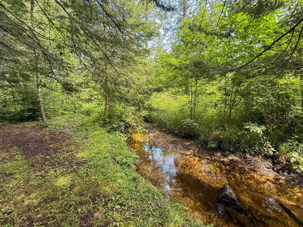 9230 Monroe Road Freeman Township, MI 48632