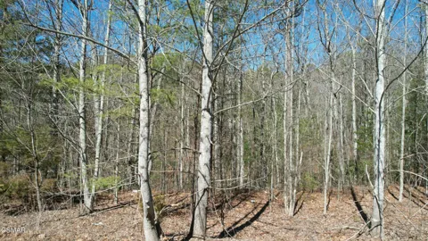 442 Hawken Drive