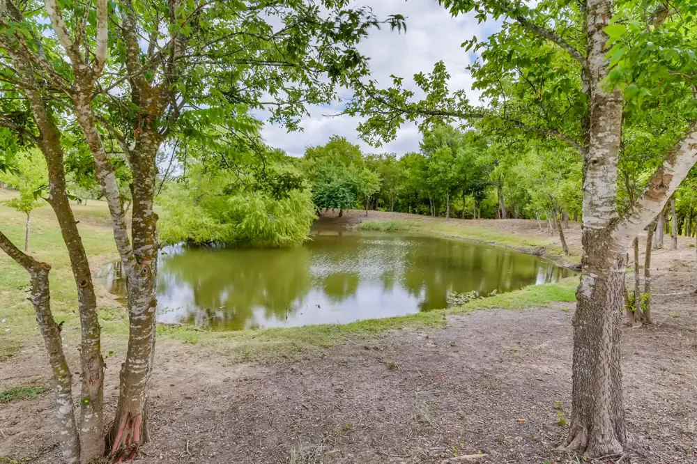335 Mistletoe Lane Kyle, TX 78640