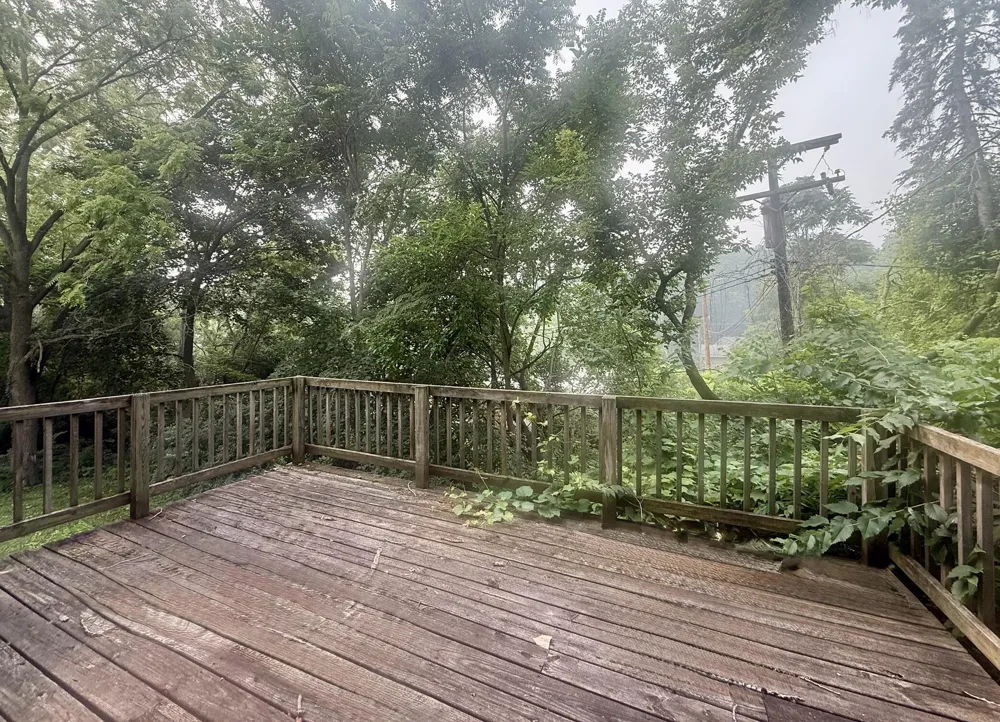 412 S Revena Boulevard Ann Arbor, MI 48103