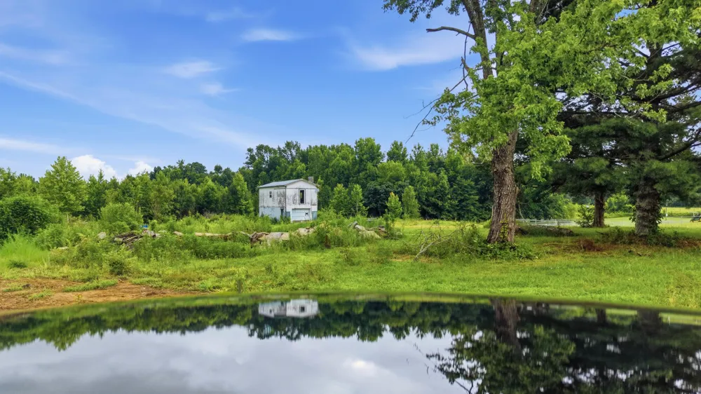 325 County Road 315 Bryant, AL 35958