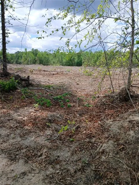 Lot 2A Manning Powell Old Macon Highway