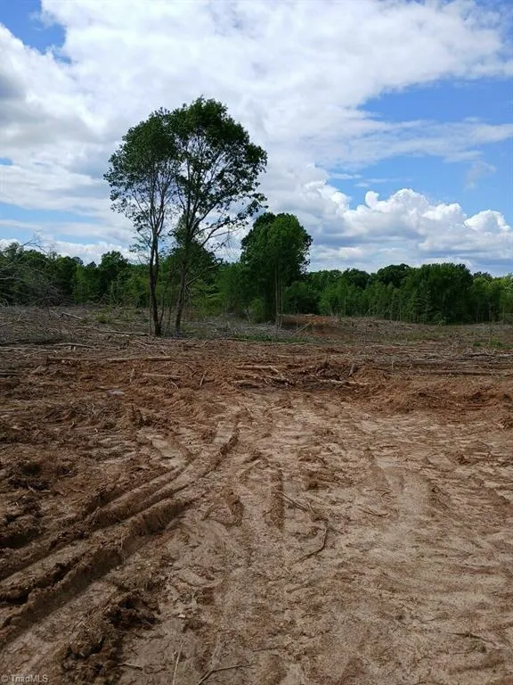 Lot 2A Manning Powell Old Macon Highway Macon, NC 27551