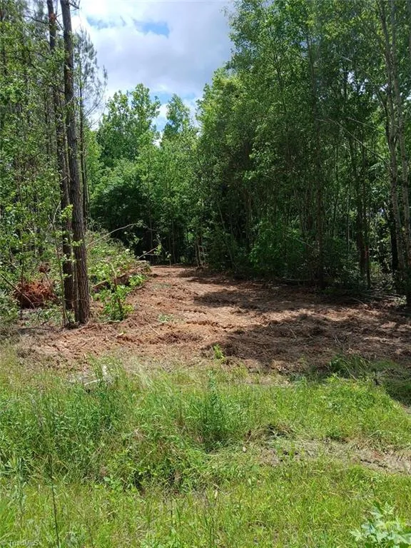 Lot 2A Manning Powell Old Macon Highway Macon, NC 27551
